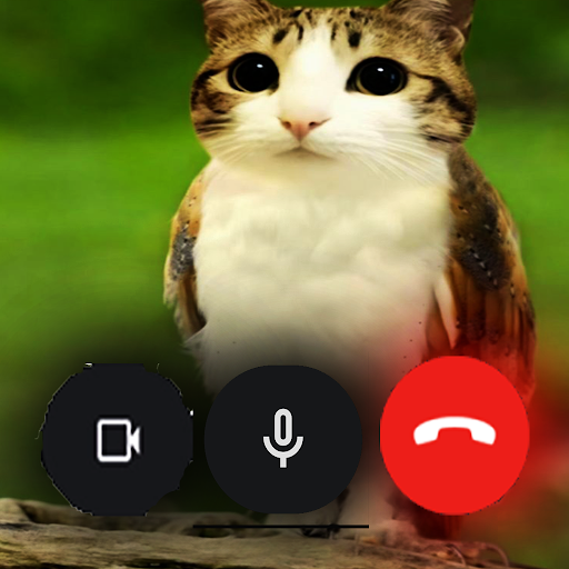 Call with a Meowl